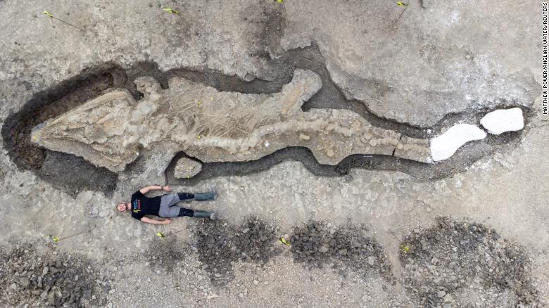 A man poses next to the excavated remains of a Britain's largest ichthyosaur, at Rutland Water, England, in August 2021.